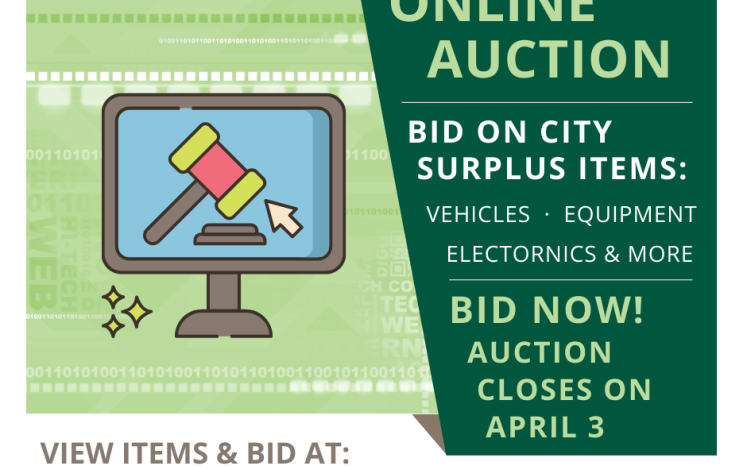 Municipal Online Auction